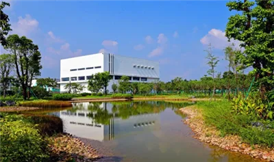 Guiados por la estrategia del 