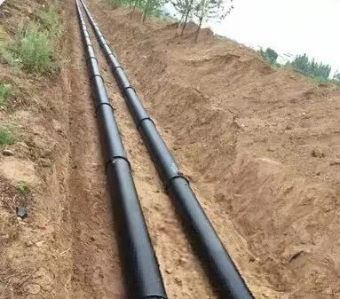 ea176be898d8e937655cb5420a3e90f6 ea176be898d8e937655cb5420a3e90f6